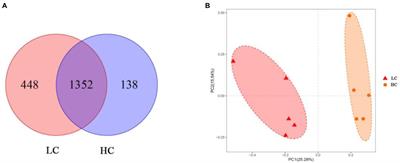 Effects of high concentrate rations on ruminal fermentation and microbiota of yaks